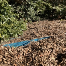 《施工前》枯葉と土で屋根に負荷がかかっている状態でした。